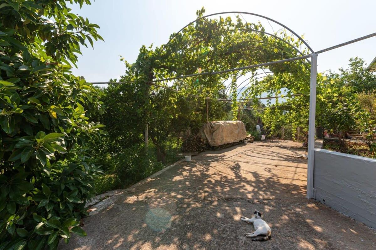 Serene Seaside Bliss - Lush & Secluded Garden Oasis Kalamata Esterno foto